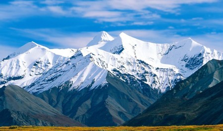 Kde sídlí moudrost